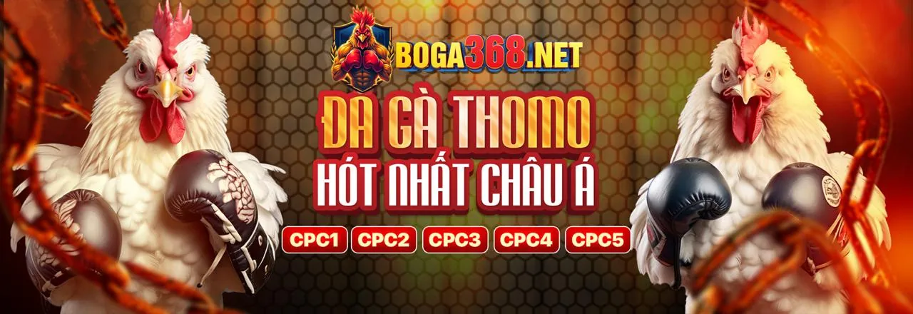 Ứng dụng 8kbe chính thức trên điện thoại